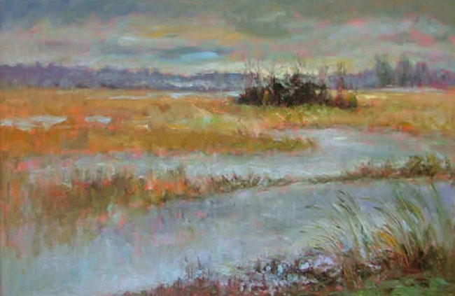 Rainy Marsh